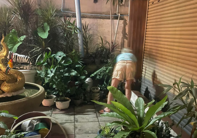Một du khách đang dọn dẹp nơi vừa đi vệ sinh bừa bãi trên đất của Pannatat Asawapitakchon. Bức ảnh trên được Pannatat chụp lại và đăng lên mạng nhằm kêu gọi chính quyền xây thêm nhà vệ sinh công cộng. Ảnh: Pannatat Asawapitakchon/SCMP