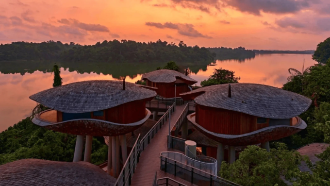 Hệ thống nhà trên cây phục vụ mục đích lưu trú cho các nhóm du khách MICE tại Mandai Rainforest Resort. Ảnh: Travel Span