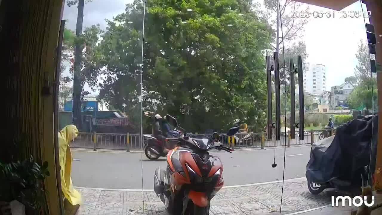 Cây ngã đè trúng người đi xe máy ở TP HCM