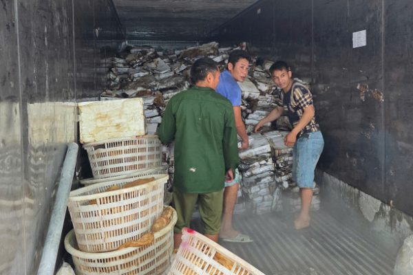 Quảng Ninh: Thu giữ 25 tấn mực, chân gà bốc mùi tại kho lạnh