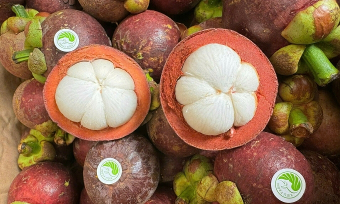 Măng cụt lái thiêu được một vài cửa hàng bán với giá 145.000-150.000 đồng một kg. Ảnh: Bích Hoàng