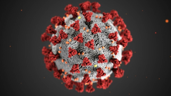 Minh họa nCoV với các protein gai. Ảnh: CDC
