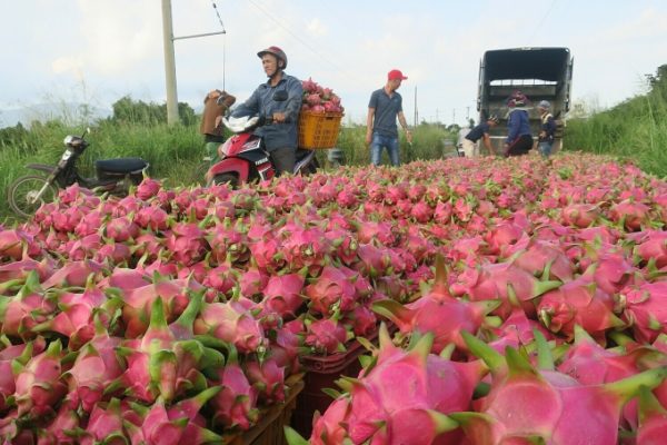 Thủ tướng chỉ đạo: Gỡ ùn tắc nông sản tại cửa khẩu