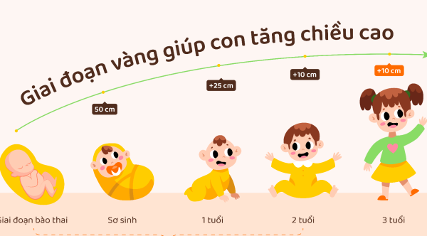 Bộ dưỡng chất giúp bé phát triển chiều cao tối ưu
