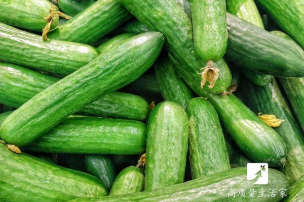 10 Mẹo Chọn Rau Quả Tươi Ngon Cho Bữa Ăn
