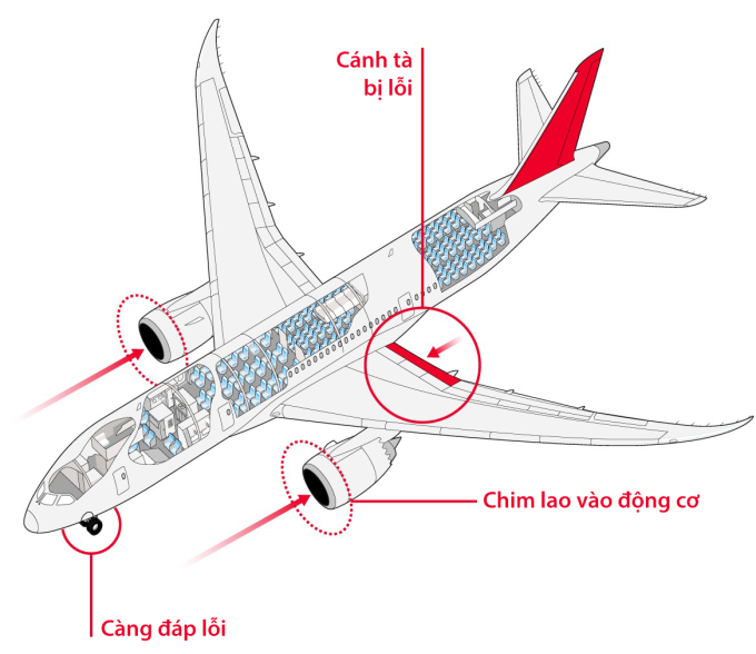 Một số giả thiết về nguyên nhân thảm họa hàng không Air India ở Ấn Độ. Đồ họa: Telegraph