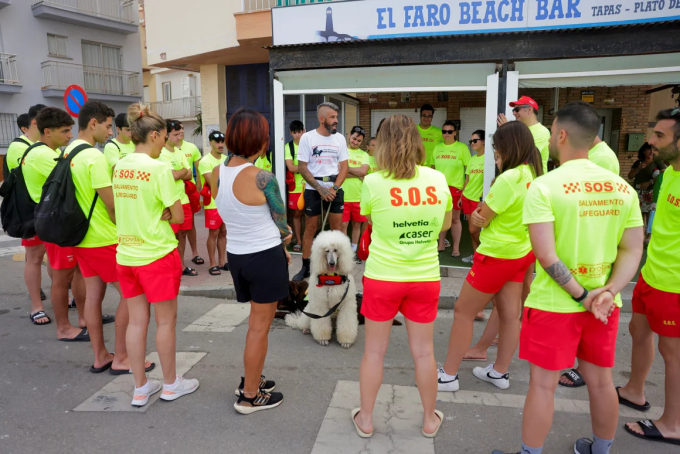 Chó poodle Nilo cùng các đồng nghiệp ở Las Lindas, Tây Ban Nha. Ảnh: Reuters
