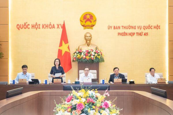 BHXH Sai Thu: Chủ Hộ Kinh Doanh Được Hưởng Lương Hưu Thế Nào?