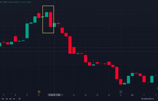 Dark Cloud Cover: Nhà đầu tư chứng khoán nên làm gì?