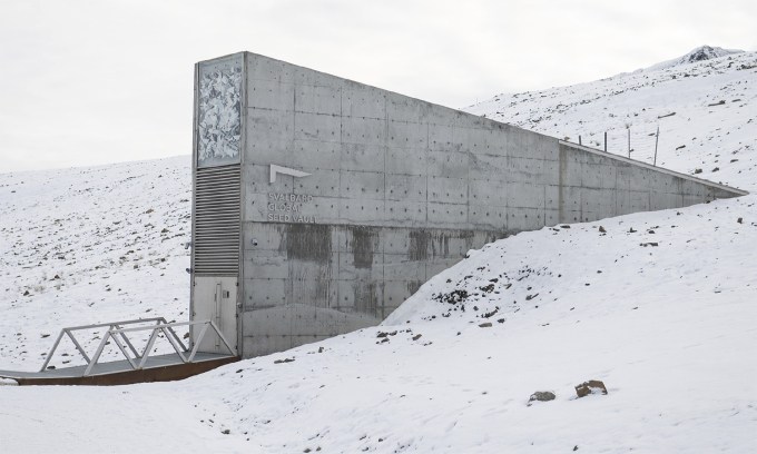 Mặt tiền của hầm hạt giống toàn cầu Svalbard, Na Uy, ngày 24/9/2023. Ảnh: VCG