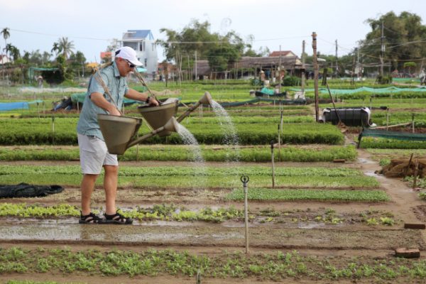 Việt Nam: Top 5 điểm đến hè yêu thích của du khách châu Âu