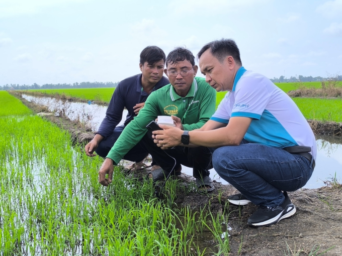Chuyên gia nông học của Phú Mỹ hướng dẫn người nông dân đo nồng độ dinh dưỡng đất trên ruộng lúa. Ảnh: Phú Mỹ