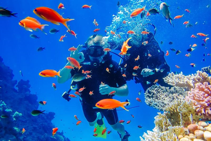 Cư dân lặn ngắm san hô tại Villa Le Corail.