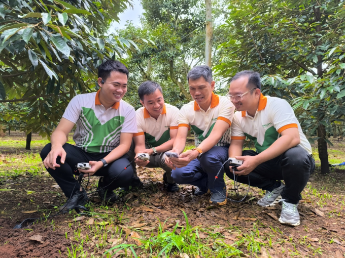 Chuyên gia nông học của Phú Mỹ đang kiểm tra nồng độ dinh dưỡng đất. Ảnh: Phú Mỹ