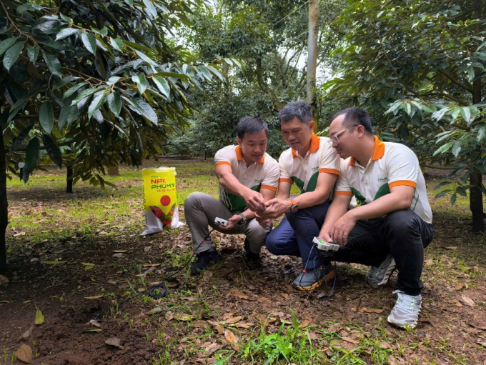 Phú Mỹ triển khai đo dinh dưỡng đất thông minh, ứng dụng công nghệ tiên tiến. Ảnh: Phú Mỹ