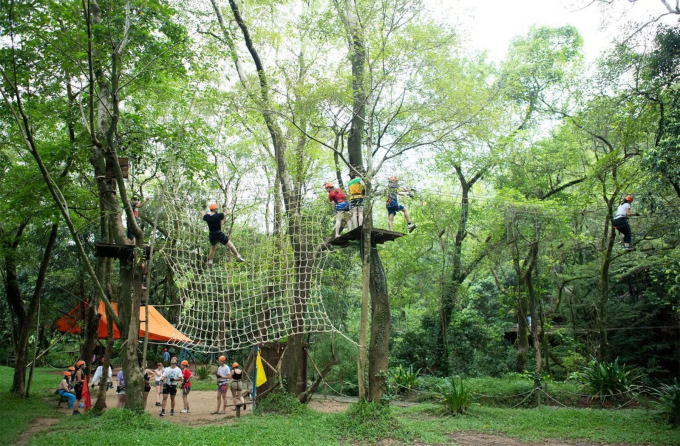 Trò chơi liên hoàn trên cây ở Ozo Park. Ảnh: Ozo