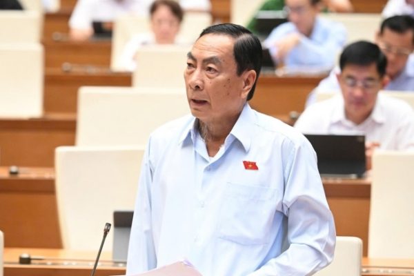Đại biểu Quốc hội: Lo ngại về hiệu quả khu thương mại tự do