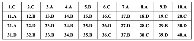 Gợi ý đáp án 24 mã đề Tiếng Anh thi vào lớp 10 ở Hà Nội - 1