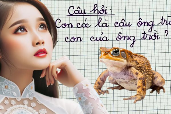 Đố vui dân gian: Con cóc là cậu, con Ông Trời là con gì?