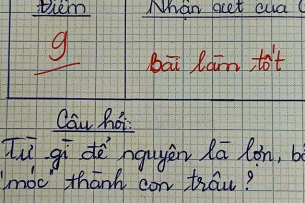 Đố chữ tiếng Việt: Lợn thành trâu chỉ bằng một dấu?