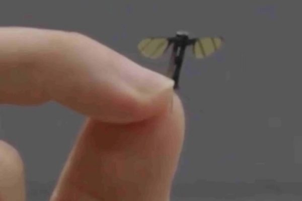 Drone trinh sát siêu nhỏ: Kích thước tí hon như muỗi