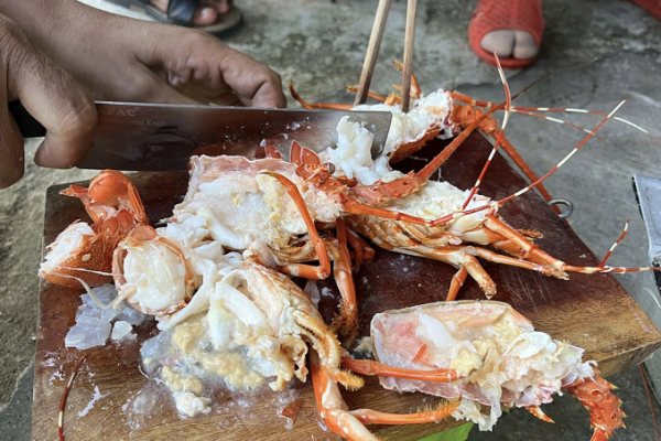Thủ thuật biến tôm hùm chết thành tươi bằng thạch rau câu
