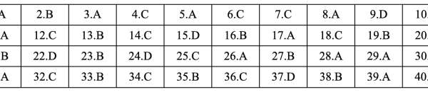 Đáp án 48 mã đề thi Tiếng Anh THPT 2025 (Gợi ý)