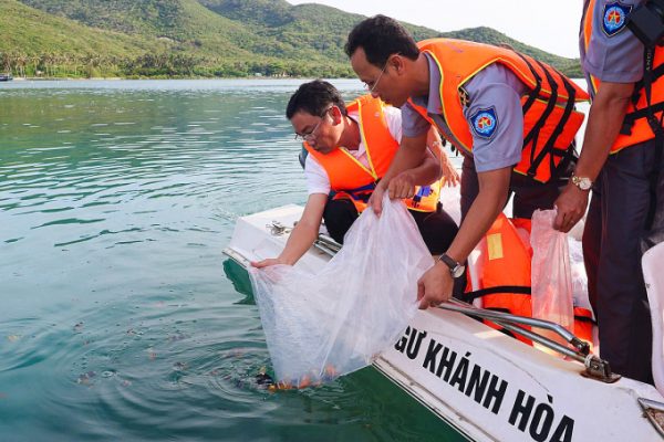 Vịnh Nha Trang: Thả 420.000 Cá, Tôm Giống Tái Tạo