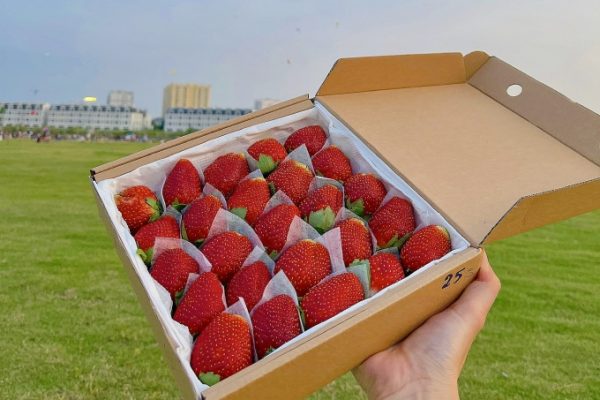 5 trái cây tốt cho thận bạn nên biết
