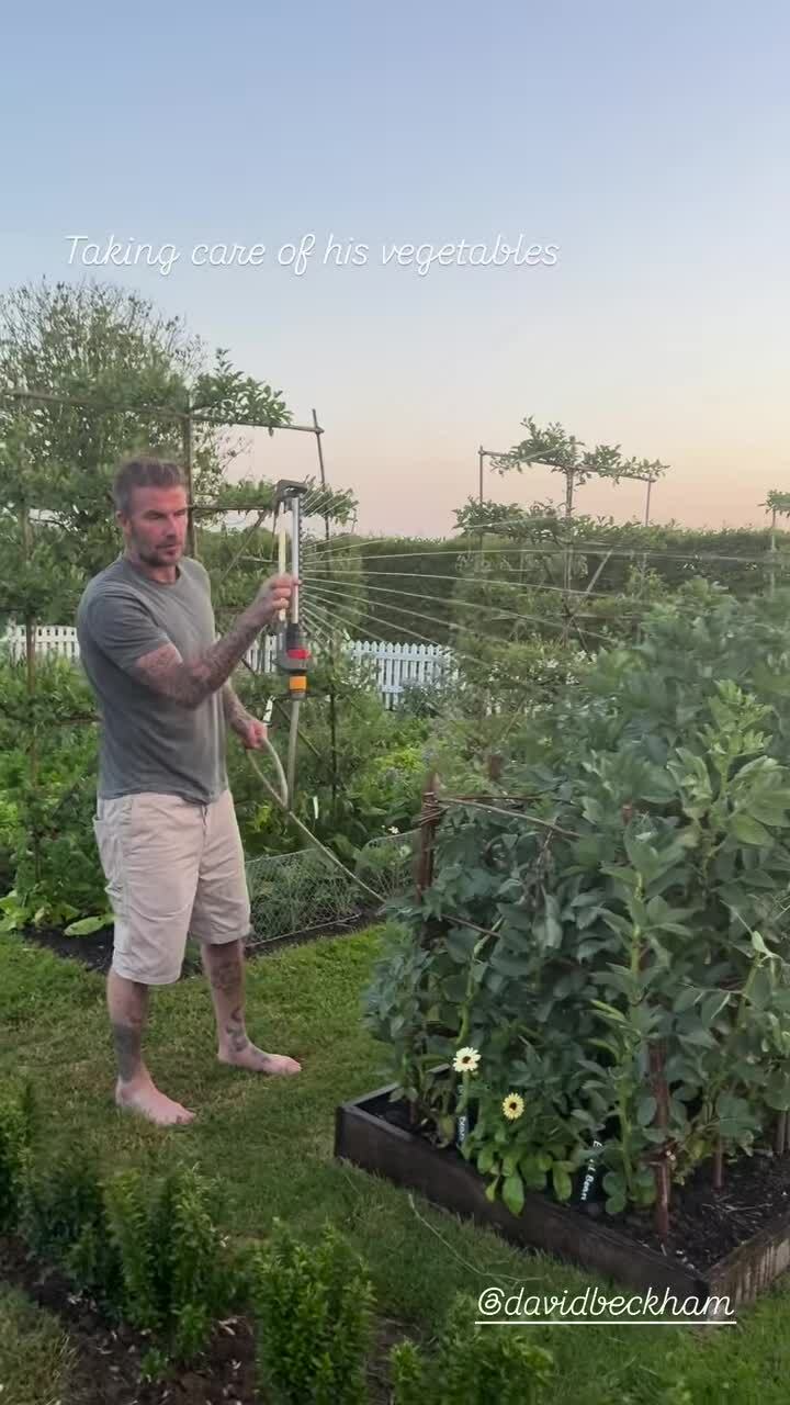 David Beckham tưới cây