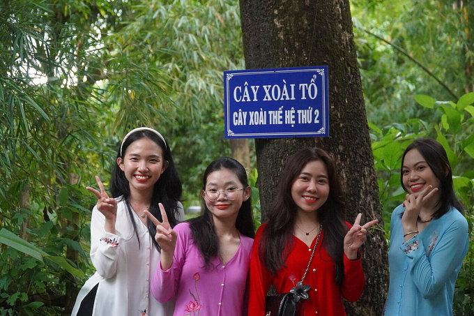 Cây ‘xoài tổ’ ở Đồng Tháp, thu một tấn trái mỗi năm (Vbrand) - 1