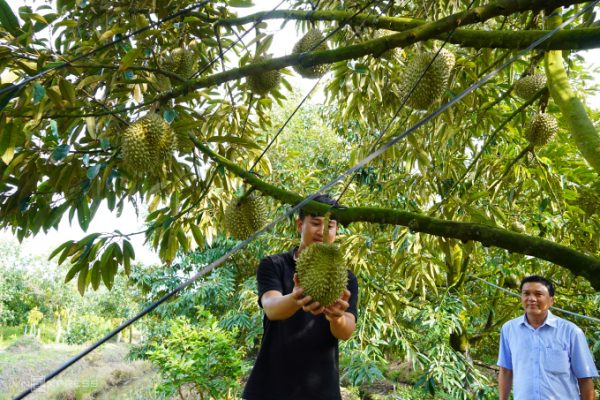 Hướng dẫn kê khai thuế cho hộ kinh doanh mua nông sản, hàng xách tay