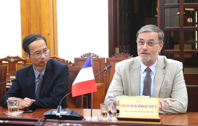 Đại sứ Cộng hòa Pháp tại Việt Nam Olivier Brochet phát biểu tại buổi làm việc. Ảnh: UNND tỉnh Bình Định
