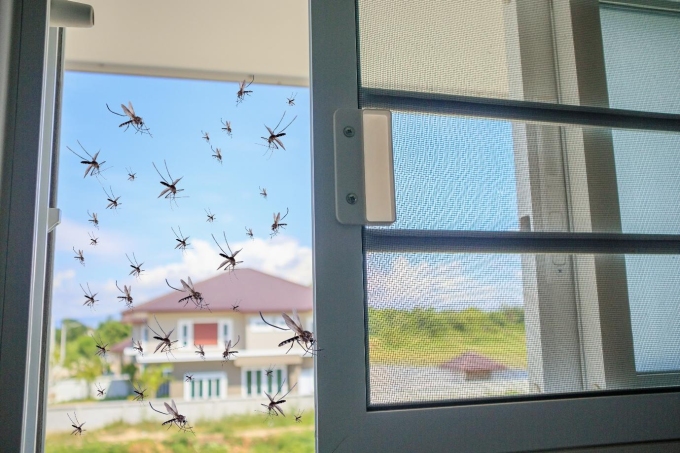 Chung cư cao tầng không phải vùng an toàn với sốt xuất huyết. Muỗi vẫn sinh sôi, lây bệnh nếu không kiểm soát kỹ. Ảnh: Takeda