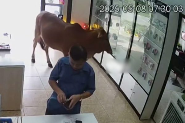‘Khách sộp’ giận dỗi vì bị mời khỏi cửa hàng điện thoại