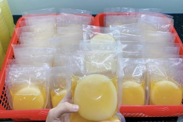 Kombucha tự làm: Trào lưu đồ uống lên men healthy tại nhà