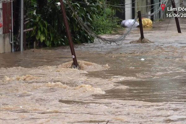‘Đà Lạt ngập vì bê tông hóa’
