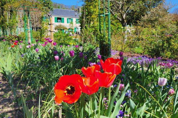 Khu vườn rực rỡ sắc hoa của Claude Monet