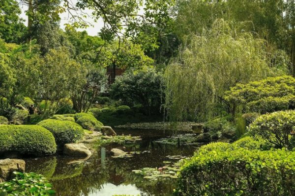 Brisbane: 4 trải nghiệm du lịch trong ngày không thể bỏ lỡ