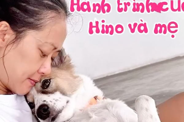 Hồng Ánh: Yêu thương chó mèo hoang