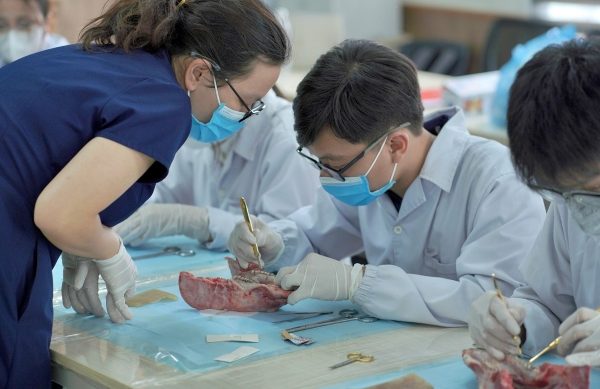 ĐH Y Dược Hà Nội: Lần đầu xét tuyển tổ hợp có Tiếng Anh
