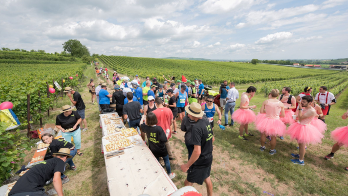 Các runner thưởng thức rượu vang tại một trạm dừng khi dự Alsace Vineyard Marathon. Ảnh: Alsace Vineyard Marathon