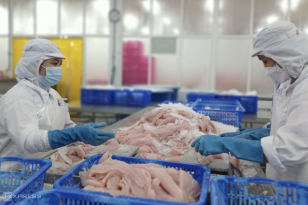 Xuất khẩu cá tra: Thêm 6 doanh nghiệp Việt được miễn thuế Mỹ