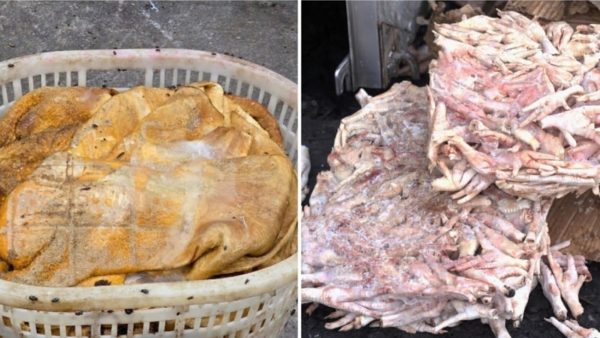Tiêu hủy 25 tấn mực thối, chân gà bẩn: Nguy cơ từ thực phẩm bẩn