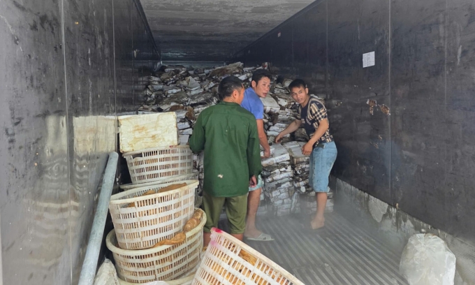 Hàng chục tấn mực ống hôi thối trong kho hàng của ông Sáng. Ảnh: Công an cung cấp
