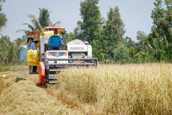 Xuất khẩu lâm nghiệp, thủy sản đạt 65 tỷ USD: Giải pháp nào?