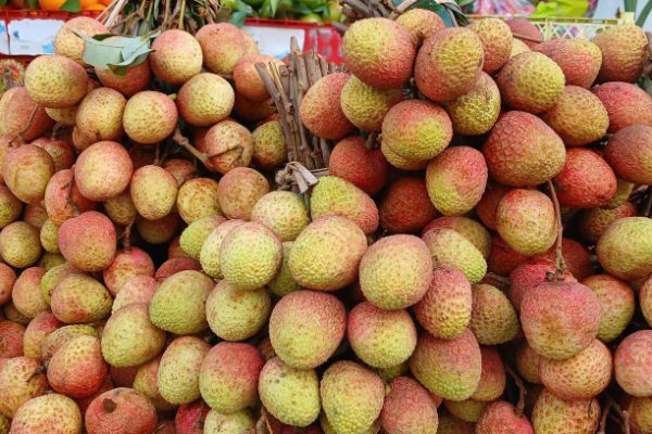 Vải thiều: Giá giảm mạnh, nỗi lo của nhà vườn