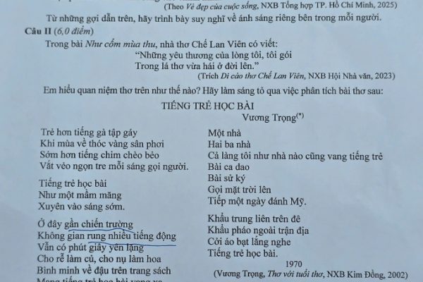 Tuyển tập đề thi Văn chuyên lớp 10 Hà Nội (có đáp án)