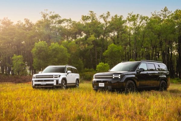 Ưu đãi hấp dẫn cho Hyundai Santa Fe, Palisade từ Thành Công