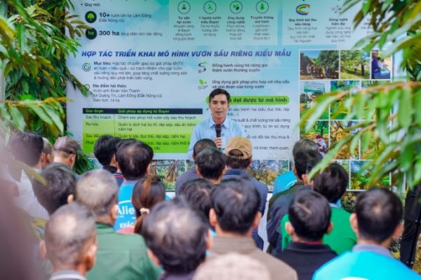 Trồng sầu riêng bền vững: Nông dân tăng 30% lợi nhuận